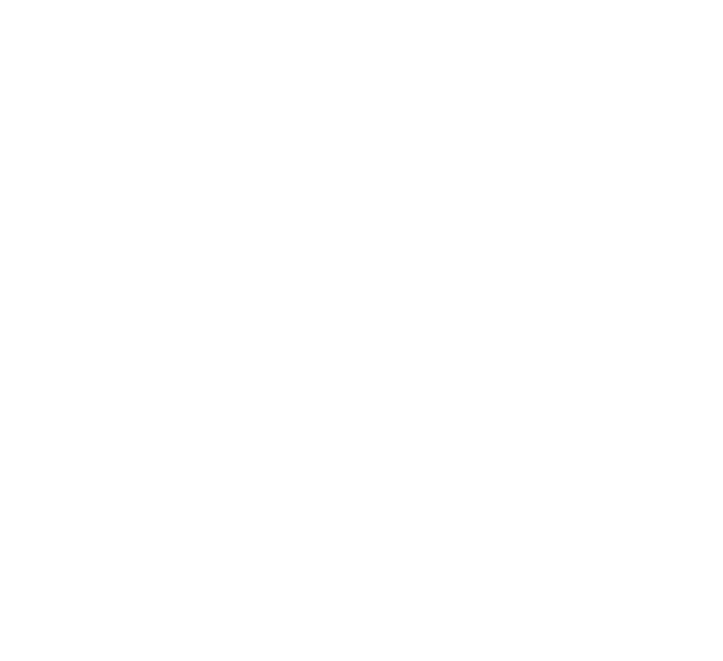 Placeholder Logo